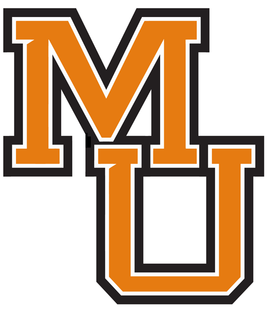 Mercer Bears 0-Pres Wordmark Logo iron on transfers for T-shirts